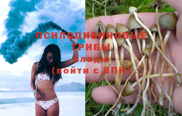 наркотики Абинск