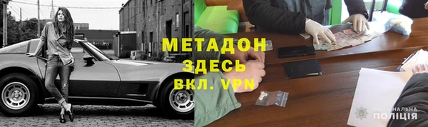 индика Козельск